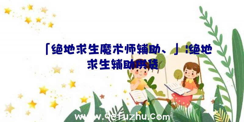 「绝地求生魔术师辅助、」|绝地求生辅助供货